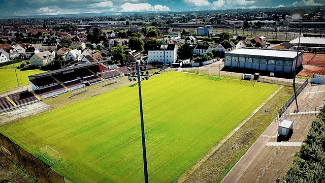 同时也向世 同时也向世