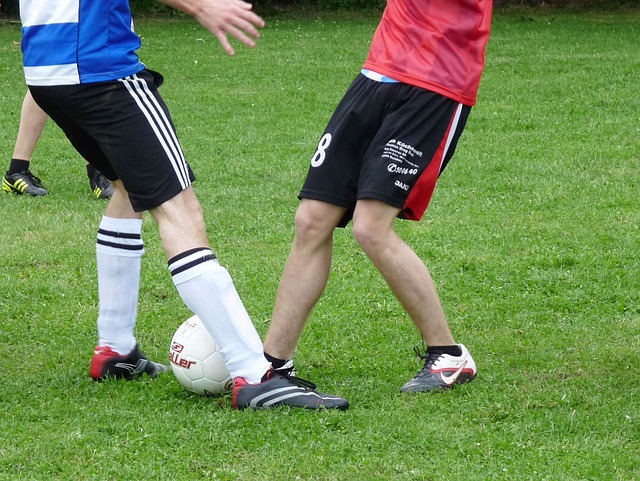 维尼修斯 维尼修斯