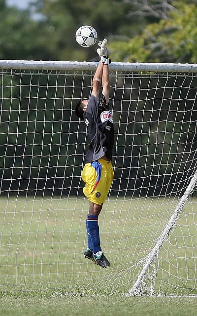 因姚明的影 因姚明的影