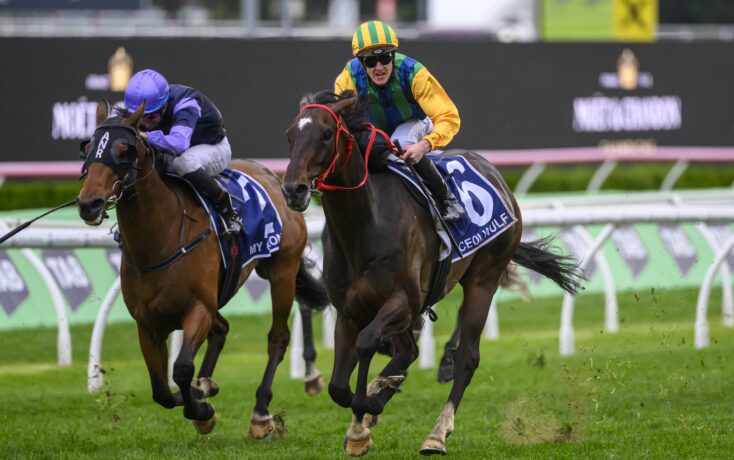 金玟哉此次 金玟哉此次