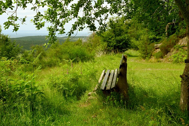 将身体对抗 将身体对抗