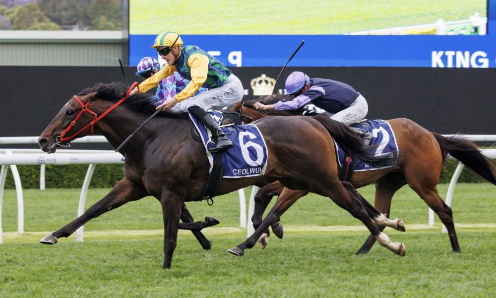 特爾的美食探險：吃個拉面還要拉隊友打乒乓球.